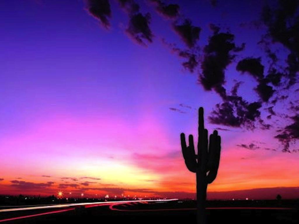 Private Resort Community -- ½ Mile Walk To Hiking & Biking At N. Mtn. Preserve! Phoenix Exteriör bild