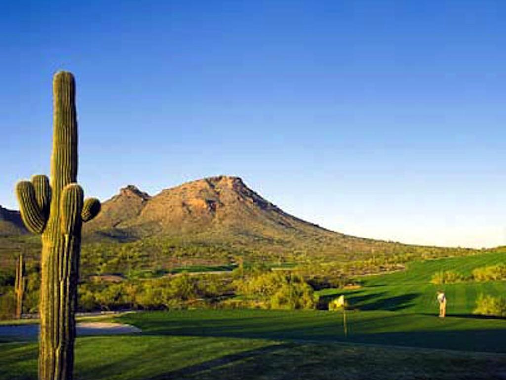 Private Resort Community -- ½ Mile Walk To Hiking & Biking At N. Mtn. Preserve! Phoenix Exteriör bild